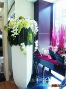 【花】花店中的“空调房” 店面欣赏