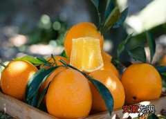 【橙子】橙子什么季节吃最好？