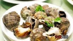 海螺蒸煮多长时间能熟及好吃的做法 海螺蒸多久才熟