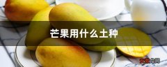 【芒果】芒果用什么土种