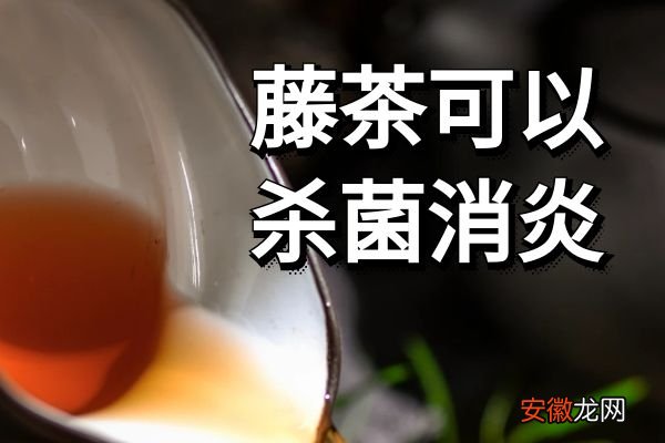 藤茶的功效与作用及饮用禁忌有哪些？