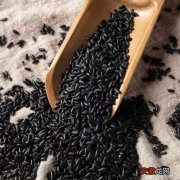 黑香米和黑米的营养价值 黑香米和黑米有什么区别吗