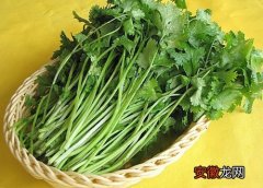 【芹菜】生吃芹菜叶有什么好处功效与坏处副作用？