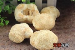 干猴头菇的吃法和做法大全 干猴头菇一般泡多久