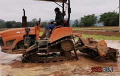 贺州八步区信都镇旱改水项目土地首次投入水稻种植