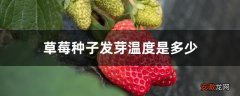 【种子】草莓种子发芽温度是多少