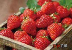 草莓苗能够消暑吗 牙龈肿痛可以吃吗