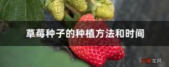 【种子】草莓种子的种植方法和时间