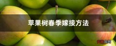 【嫁接】苹果树春季嫁接方法