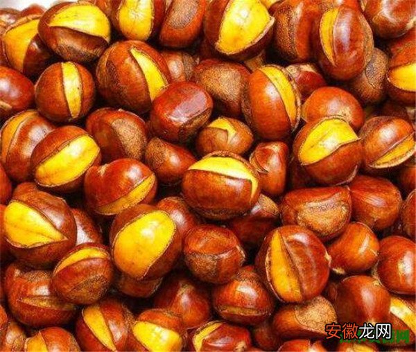 【品种】中国板栗之乡排名 中国板栗常见的品种有哪些