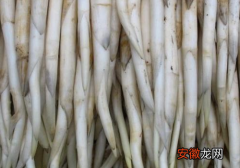 河马牙菜市场价格多少钱一斤 是宽叶香蒲吗