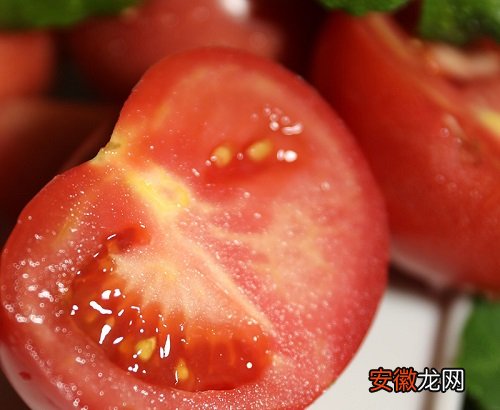 【虫害】西红柿病虫害防治技术 常见防治方法与措施