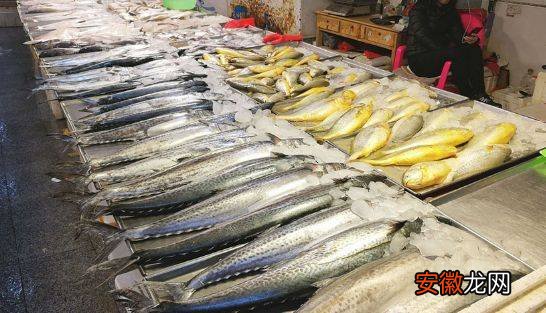 夏季吃海鲜最常见的三种海鲜，一般只需五六块钱一斤轻松买到