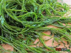 【作用】螺旋藻的功效与作用 螺旋藻的价格