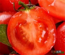 【功效】番茄红素的功效与作用 番茄红素价格
