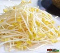 【吃】黄豆芽怎么发做法有哪些 黄豆芽怎么做好吃