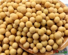 【价格】黄豆的价格多少钱一斤 黄豆的功效与作用