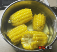 煮玉米的时间和方法 烀苞米多长时间能熟