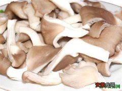 【营养】平菇怎么做好吃 平菇的营养价值和功效