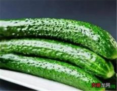 【图片】黄瓜图片价格多少钱一斤 黄瓜种植技术
