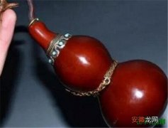 【种植】文玩葫芦什么时候种植最为好 文玩葫芦怎么盘红的快