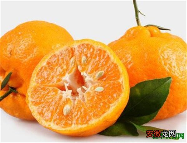 【作用】耙耙柑的功效与作用 粑粑柑和丑橘的区别