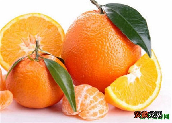【批发】柑橘图片和批发价格 柑橘的营养价值和功效与作用