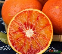 【功效】塔罗科血橙的功效与作用 廉江红橙节几月份开始