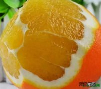 【月份】赣州脐橙节是几月份 江西赣南脐橙图片价格多少钱一斤