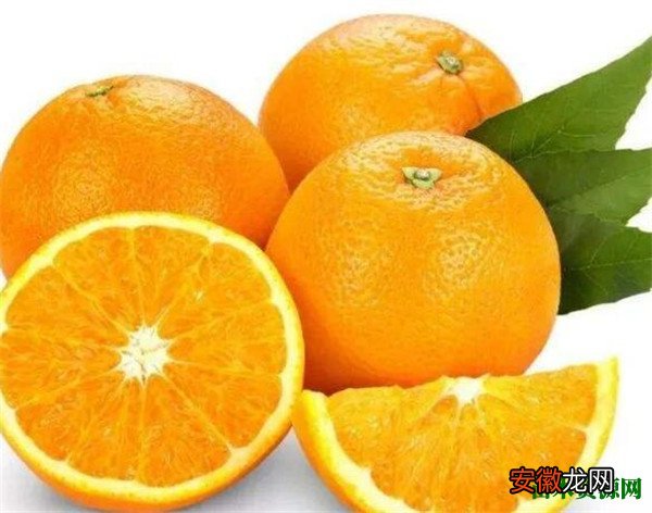 【月份】赣州脐橙节是几月份 江西赣南脐橙图片价格多少钱一斤