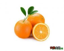 【成熟】奉节脐橙什么时候成熟 奉节脐橙和赣南脐橙区别