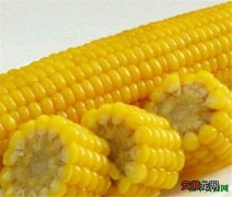【药用】玉米须的药用价值 玉米须如何可以降血糖吗
