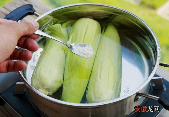 煮玉米的窍门，不要直接用冷水下锅煮，清甜软糯好吃