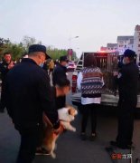辽宁朝阳警方开展不文明养犬专项整治行动