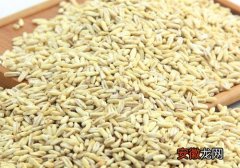 燕麦米的作用与功效 和燕麦粉的差别