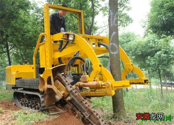 【价格】山东小型挖树机价格 济宁附近有卖挖树机的厂家吗