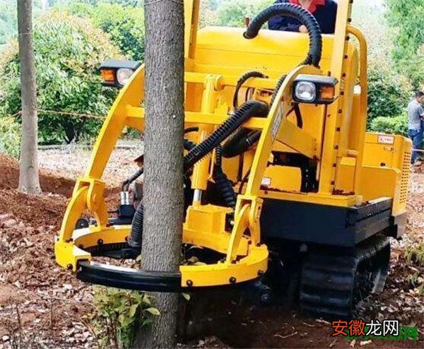 【价格】大型挖树机价格和图片 可以挖大规格苗木的起土球挖树机器
