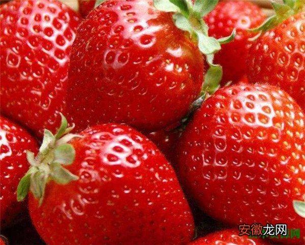 【季节】草莓是什么季节的水果 草莓几月份结果果期如何管理