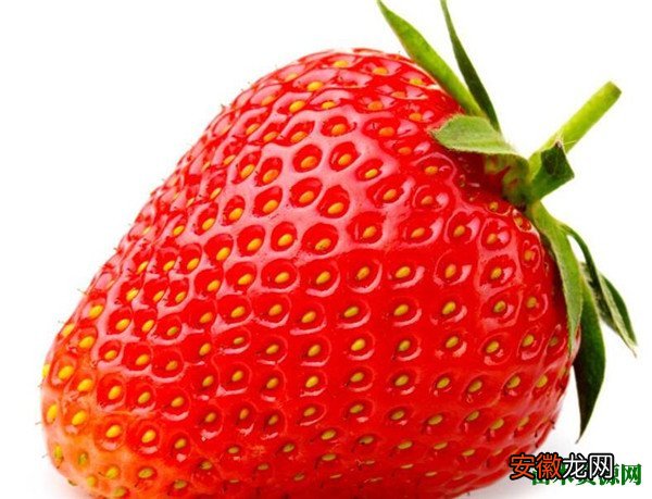 【季节】草莓是什么季节的水果 草莓几月份结果果期如何管理