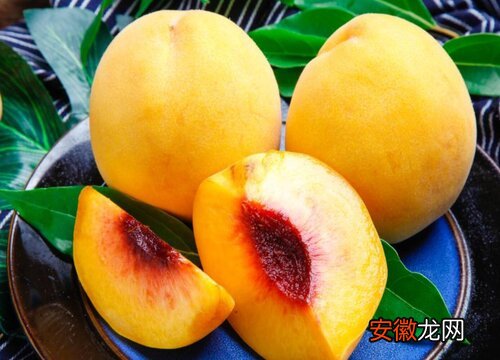 【桃】黄桃落果是什么原因造成的