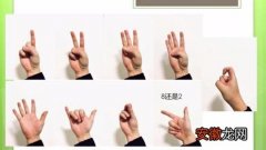 幼儿园数字手势0到10的手势 1一10手指伸法