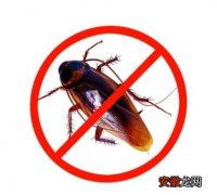 彻底消灭蟑螂的方法 家有蟑螂怎么办才能杀光