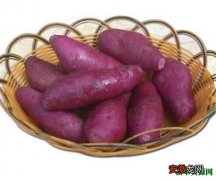 【紫薯】紫红薯是不是转基因吗 紫薯和红薯的区别