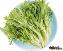 【作用】苦菊的功效与作用 苦菊菜的营养价值