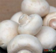【功效作用】红蘑菇的功效作用是什么 红蘑菇能吃吗怎么吃