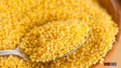 粟米和小米的作用和营养价值 粟米和小米的区别