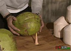 【椰子】口香糖开椰子的原理是什么 大王椰子的果实能吃么