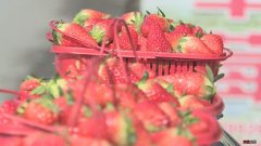 陕西略阳县接官亭镇:发展草莓产业 打造特色农业优质名片