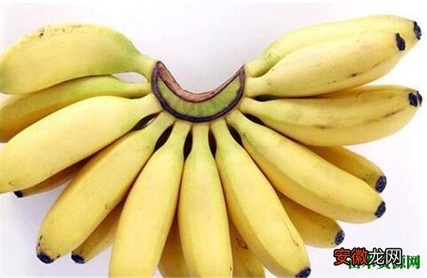 【多】皇帝蕉产地多少钱一斤 皇帝蕉和香蕉的区别