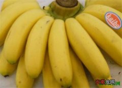 【多】皇帝蕉产地多少钱一斤 皇帝蕉和香蕉的区别